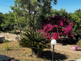 Villa La Ginestra Vacanze - Castellammare del Golfo - 6