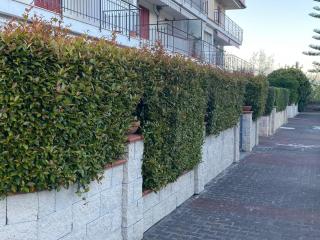 Casa Carmelina - Mascali - 4