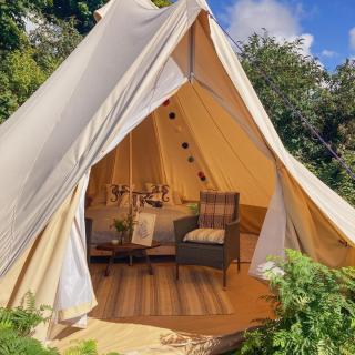 Foxglove Field Glamping - Perranuthnoe - 9