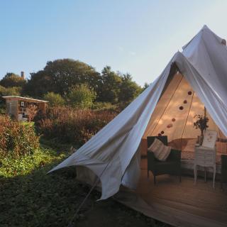 Foxglove Field Glamping - Perranuthnoe - 5