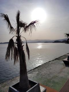 Terrace Urla - 2