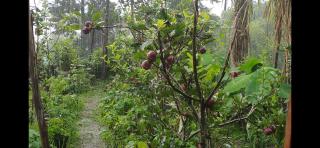 Srishti Lakeview - 8