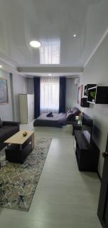 Уютная квартира в центре Бишкека - Bishkek - 4