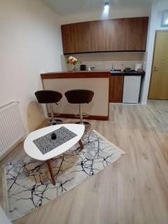 Aqua Apartments 2 - Jagodina - 7