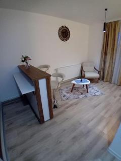 Aqua Apartments 2 - Jagodina - 4