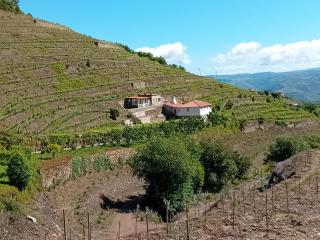 Casa da Quinta do Porto - Lamego - 0