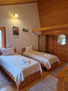 Casa Tisaru - Lepşa - 1