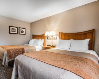 Comfort Inn South - Springfield - 5