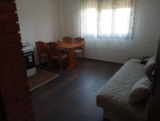 Apartman Aleksić Kuršumlija - 9