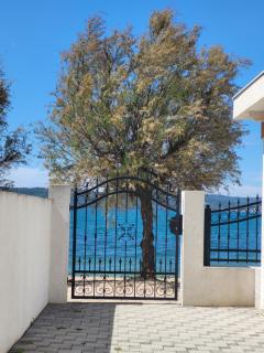 Apartments Bralic - Bibinje - 7