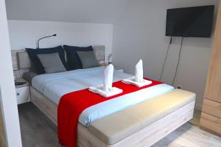 Le COSY HOUSE-6 voyageurs-5mn Roissy CDG - 3