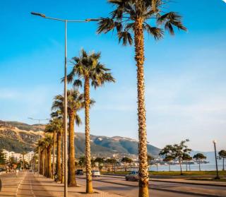 Liar - Vlorë - 2