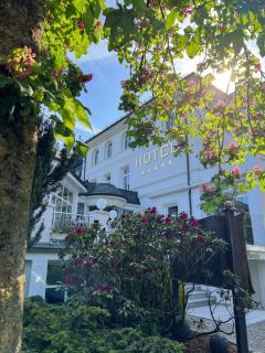 Hotel Deimann - Schmallenberg - 6