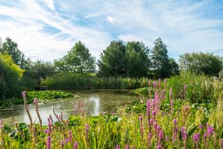 Afbeelding van de locatie