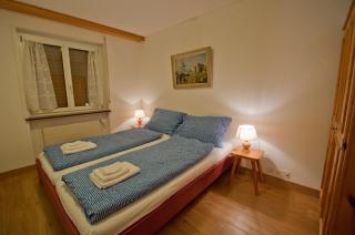 Haus Bodmen C, Apartment Grünsee - 3