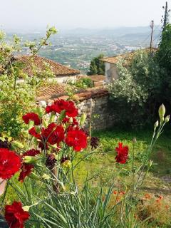 Leta House - Berat - 1