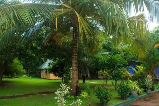 Tharindu Villa - Dankotuwa - 6