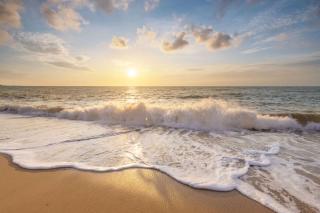 Vakantiehuis De Meerpaal - Julianadorp aan Zee - 5