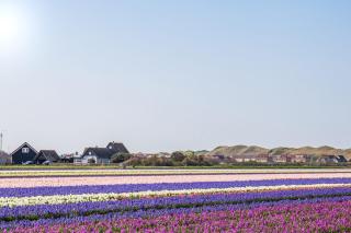 Vakantiehuis De Meerpaal - Julianadorp aan Zee - 4