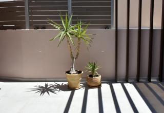 Casa Enetiko - Chania - 7