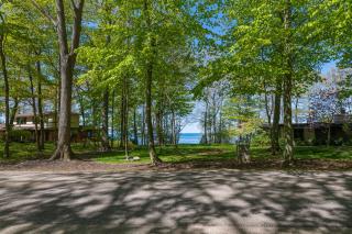 My Blue Haven - Shared lake access across the street! Glamorous home! - Fennville - 8