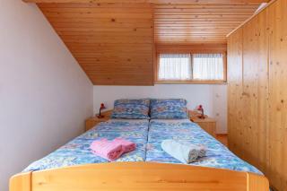 Apartmaji Marko - Bled - 8