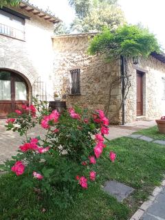 All'Ombra di San Damiano - Asís - 5