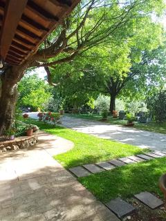 All'Ombra di San Damiano - Asís - 7