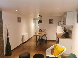 Appartement charmant à Moret-Loing-et-Orvanne - 45 m² avec terrasse - - 1
