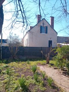 Bois d'Yevre - Vierzon - 8