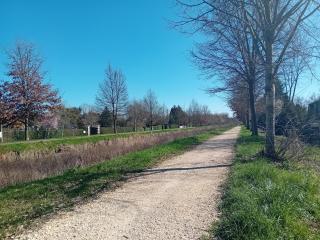 Bois d'Yevre - Vierzon - 1