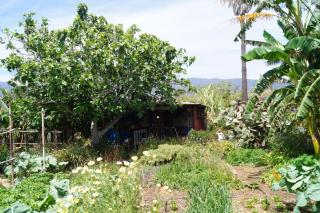 La casita del jardinero - Los Llanos de Aridane - 3