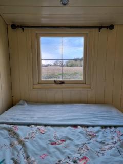 Delilah the shepherd's hut - 3