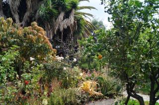 La casita del jardinero - Los Llanos de Aridane - 2