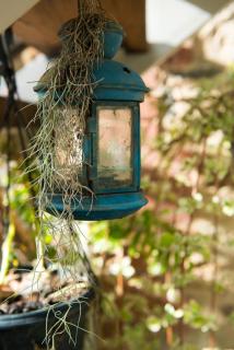 Adelaide Hills Camellia Cottage Wifi - Crafers - 1