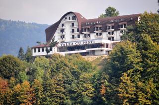 Hotel Valea cu Pesti - 6
