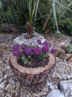 House Anna - Sobra - 6