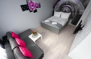 Apartament blisko ZOO, Orientarium oraz Atlas Areny - Łódź - 7
