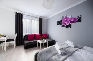 Apartament blisko ZOO, Orientarium oraz Atlas Areny - Łódź - 4