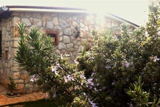 Our Stone Corner - Rovinj - 0