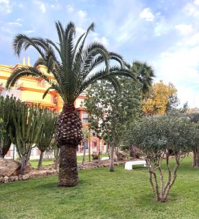 Grace - Torrevieja - 1