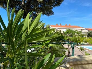 Apartments Villa Ana 1 - Mandre - 1