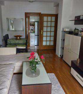 Apartman M Igalo - Igalo - 4