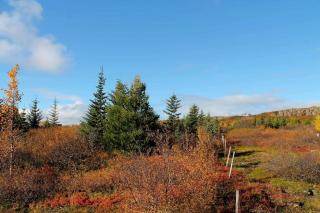 Cozy Cabin in Stunning Nature - Borgarfjordur - 5