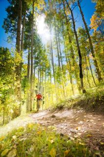 Antler Way at Lakota,,,, townhouse - 6