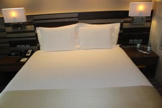 Holiday Inn Jaipur City Centre by IHG - Jaipur - 3