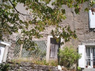 Maison de campagne Les loirs - Lespinassière - 4