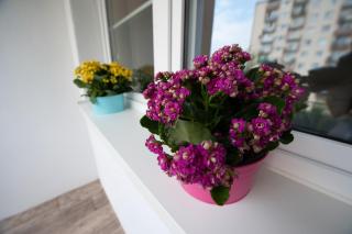 Apartament 1 blisko Atlas Areny, ZOO oraz Orientarium - Łódź - 5