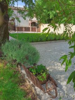 House Mario near Rovinj - Kanfanar - 1