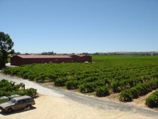 Kaesler Cottages - Nuriootpa - 7